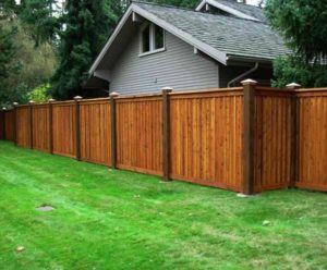 Privacy Fence Along Property Lines