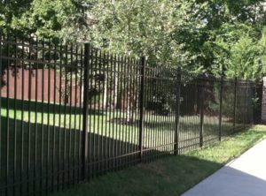 Privacy Fence