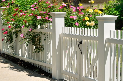 White Picket Fence